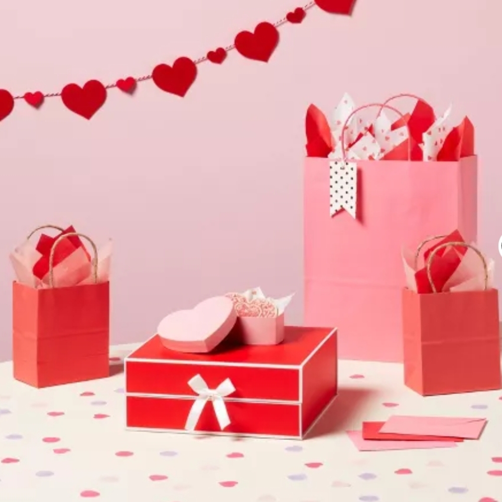 Red and Pink Gift Bag Set for Parties